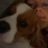 molly - @molly.barwick - TikTok