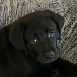 Molly Wiley - @molly_wiley - Instagram