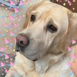 Molly Wing - @wingmolly - Instagram