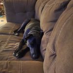 Molly Yeager - @meyeager2964 - Instagram