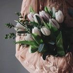 Mona Anwar - @monaanwar39 - Instagram
