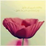 mona__aziz - @mona__aziz - Instagram