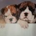Mona Barnett - Facebook
