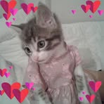 Mona Bell - Facebook