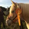 Mona Hauzenberger - @monahauzenberger - TikTok