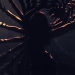 A l y s s a | Mona Bloom - @mona_bloom - Instagram