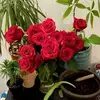 Mona Botros869 - @monabotros869 - TikTok