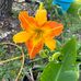 Mona Brockner - Facebook