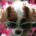 Mona Cannon - Facebook