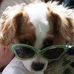 Mona Cannon - @cannonmona - Instagram