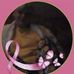 Monna Cantrell - Facebook