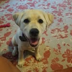Ellie Mona Chapman - @ellie.mona - Instagram