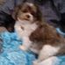Mona Coleman - Facebook