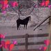 Mona Colvin - Facebook