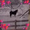 monacolvin6 - @monacolvin6 - TikTok