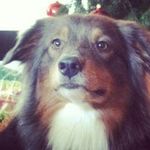 Mona Conradi - @mona_conradi - Instagram