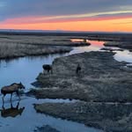 Mona Copeland - @earthhood - Instagram