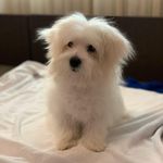 Mona - @_monacotton_ - Instagram