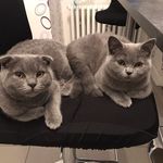Mona&Cotton - @monaxcotton - Instagram