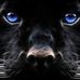 Mona Dailey - Facebook