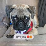 Mona Diaz de Leon - @adventures_of_bud_n_sissy - Instagram