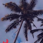 Monadine Abdulla - Facebook