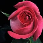 Manu Duhan - Facebook