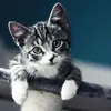 mona engel - @ahniese - TikTok
