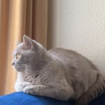 Mona Farhat - @mnm.farhat - Instagram