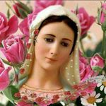 Mona Farhat - @mona.farhat.7798 - Instagram