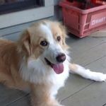Mona Missy Farley Gulbin - @missygulbin - Instagram