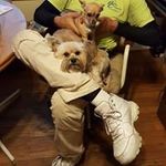 Mona Farmer Simmons - @monafarmersimmons - Instagram
