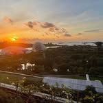 人生旅程 - @monafleming54 - Instagram