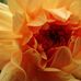 Mona Fuchs - Facebook
