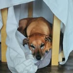 Mona Fuchsgruber - @mona_fuchsgruber_ - Instagram