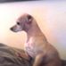 Mona Gale - Facebook