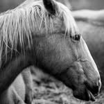 Mona Gale Photography - @monagalephotography - Instagram