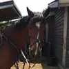 monagrace1001 - @monagrace1001 - TikTok