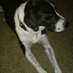 Mona Gray - @mona.gray.5036459 - Instagram