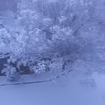 mona hammoud - @hammoud3833 - Instagram