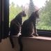 Ramona Höppner-Nitsche - Facebook