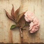 Mona Hyder - @mona_hyder - Instagram