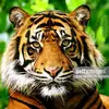 james.mona - @james.mona - TikTok