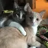 Mona Johnson - @mona.johnson30 - TikTok