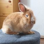 Mona Alicia Kleineidam - @mona_alicia_kleineidam - Instagram