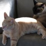 Mona Lane - @monalane5639 - Instagram