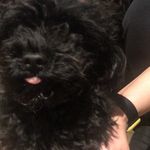 Mona - @monalawson1043 - Instagram