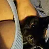 Mona the VampKat - @monalovegood - TikTok