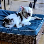 Mona L Magee Foster - @monamagee1 - Instagram