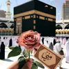 monaabdelmageed51 - @monaabdelmageed51 - TikTok